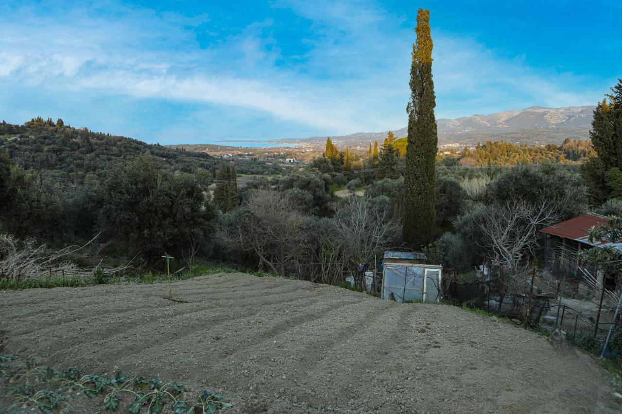 Casa Di Pietra Appartement